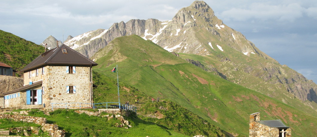 Grassi