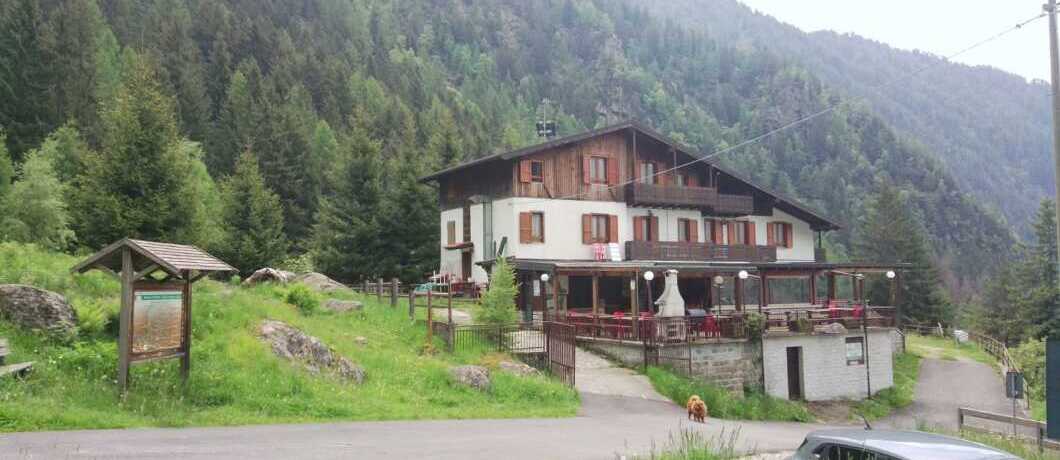 Stella Alpina Fabrezza
